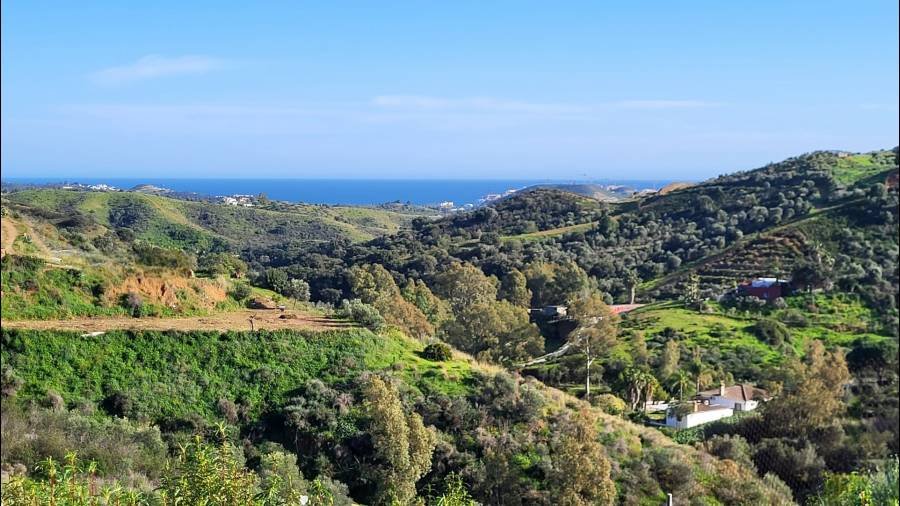 Villa Mijas Costa | 5-bed | €3.68M