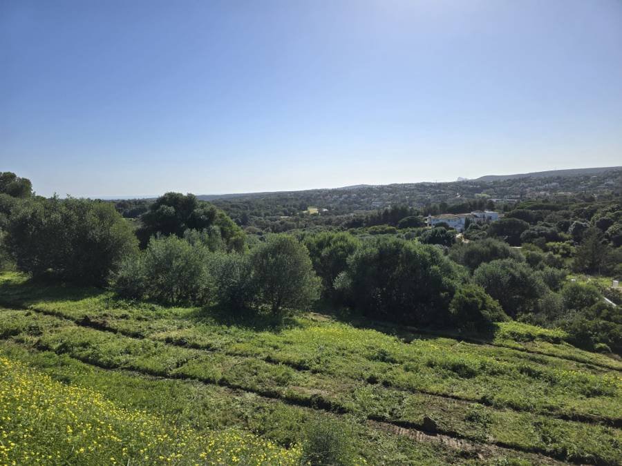 Plot в La Reserva, Sotogrande | €0.85M