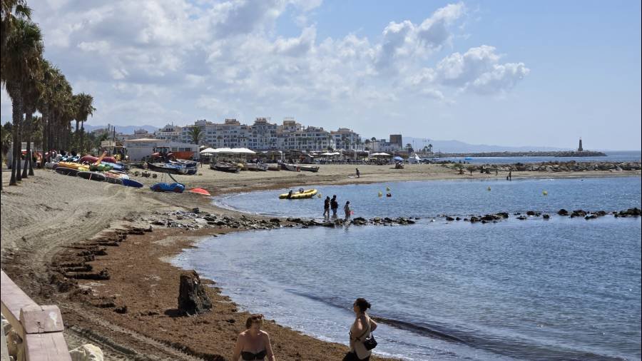 Ground Floor Apartment in Marbella - Puerto Banus Marbella | 2-bed | €2.95M