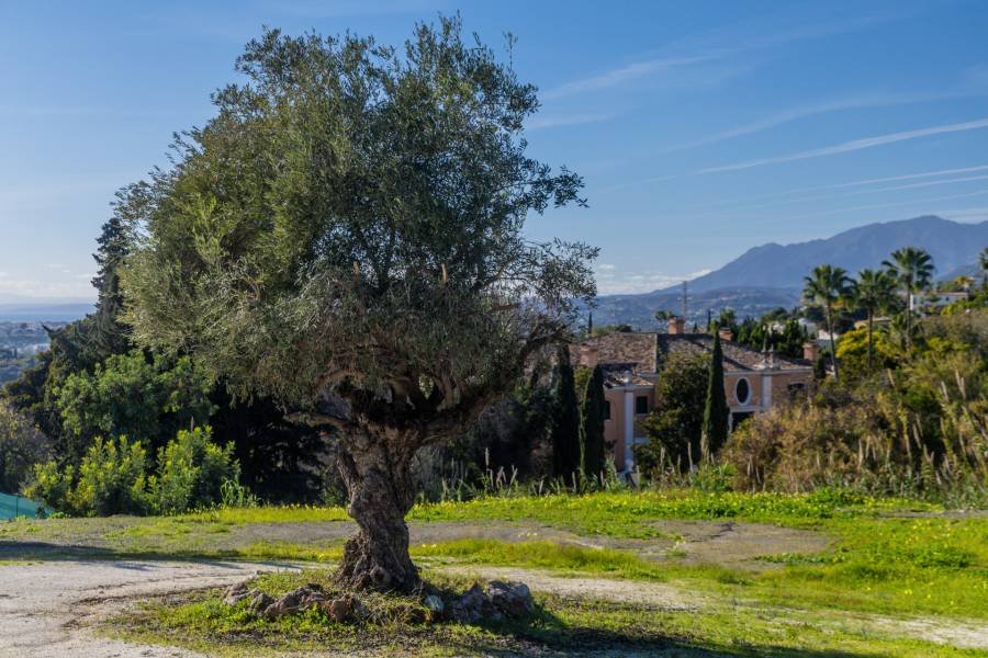 Plot in Marbella Golden Mile Marbella | €4.50M