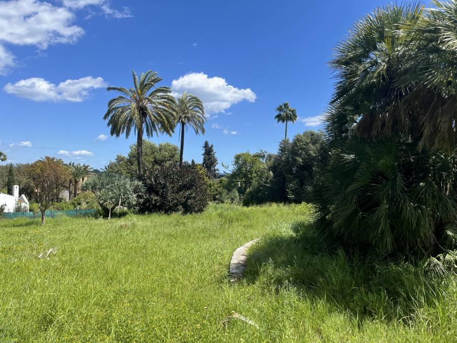 Plot in Sotogrande Costa Sotogrande | €2.10M