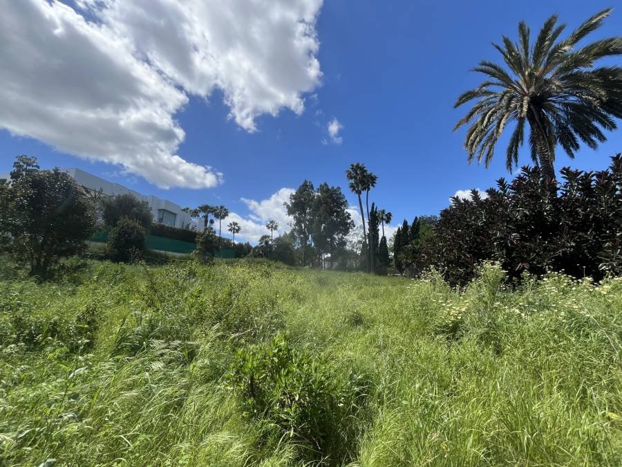 Plot in Sotogrande Costa Sotogrande | €2.10M
