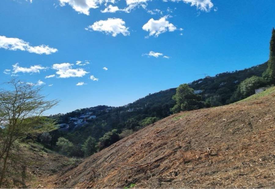 Plot in El Madroñal Benahavis | €17.00M