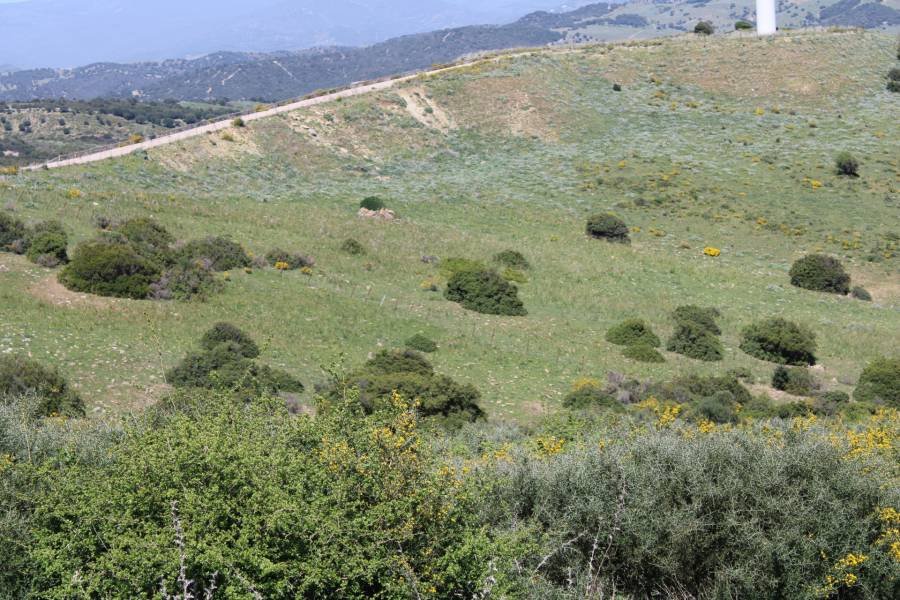 Plot San Martin del Tesorillo | €0.60M