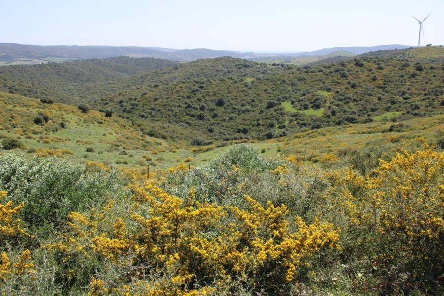 Plot San Martin del Tesorillo | €0.60M