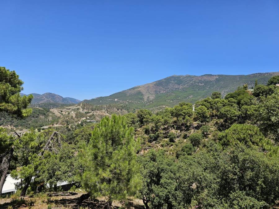 Plot in La Zagaleta Benahavis | €3.25M