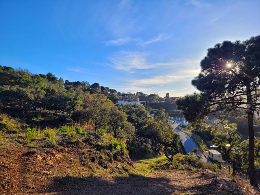 Plot in La Zagaleta Benahavis | €3.25M