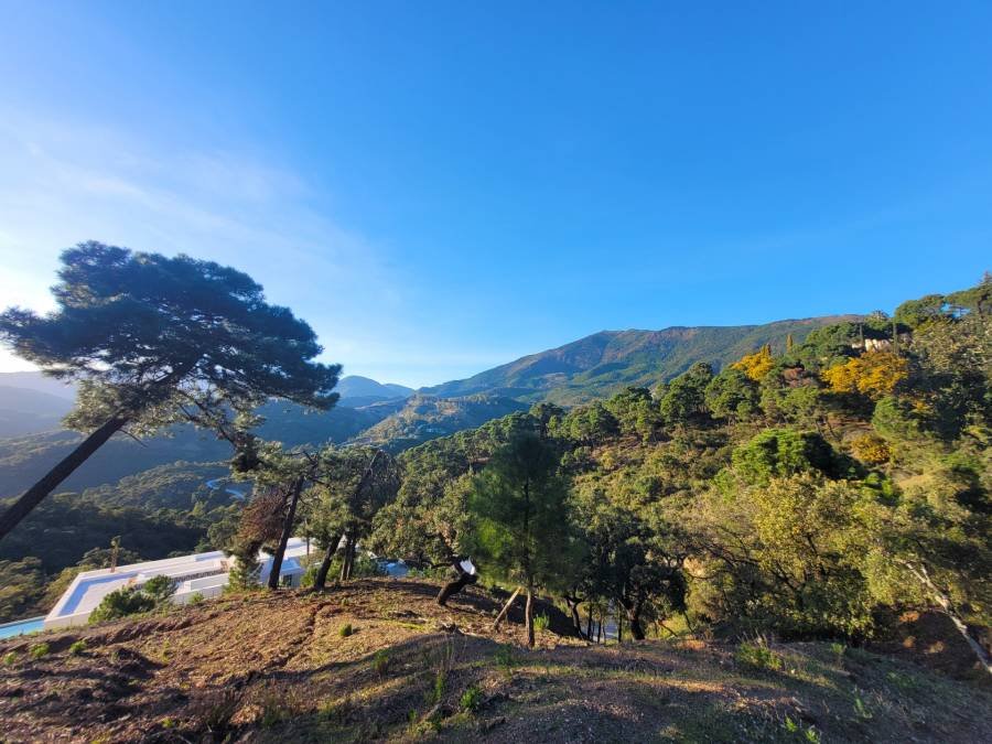 Plot in La Zagaleta Benahavis | €3.25M