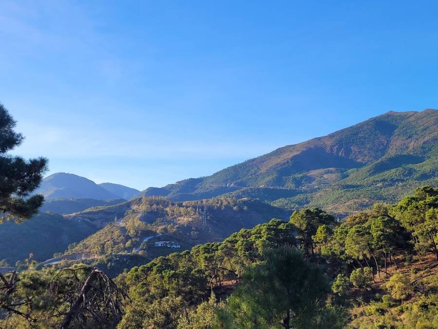 Plot in La Zagaleta Benahavis | €3.25M