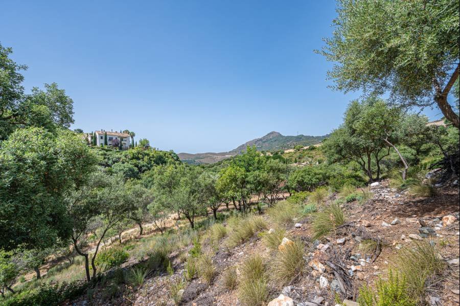 Plot in La Zagaleta Benahavis | €2.98M