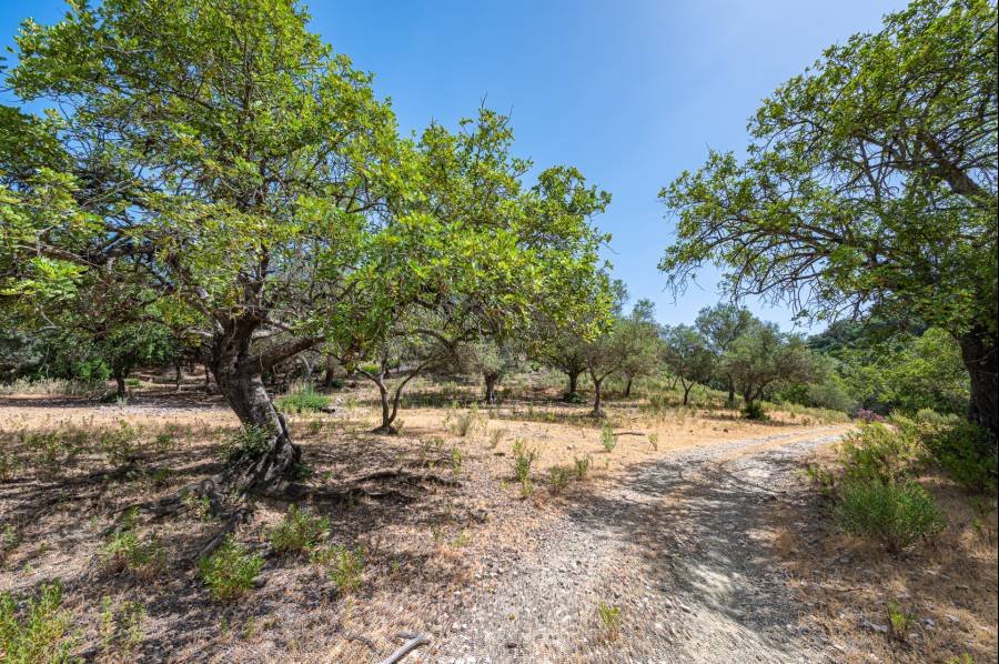Plot in La Zagaleta Benahavis | €2.98M