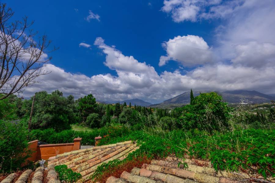 Andalusian Villa in Nueva Andalucía