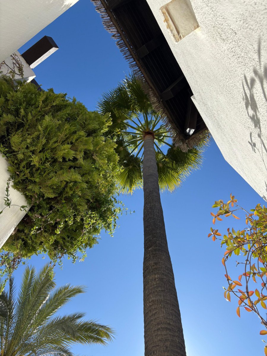 Unique Apartment with Direct Garden Access – Rio Real Golf, Marbella East