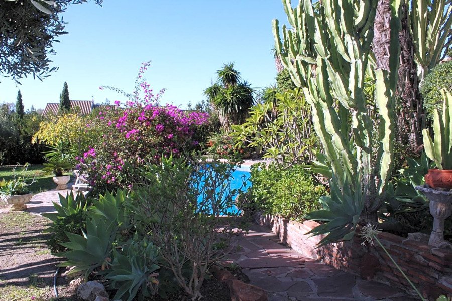 Investment oportunity with 3244m plot