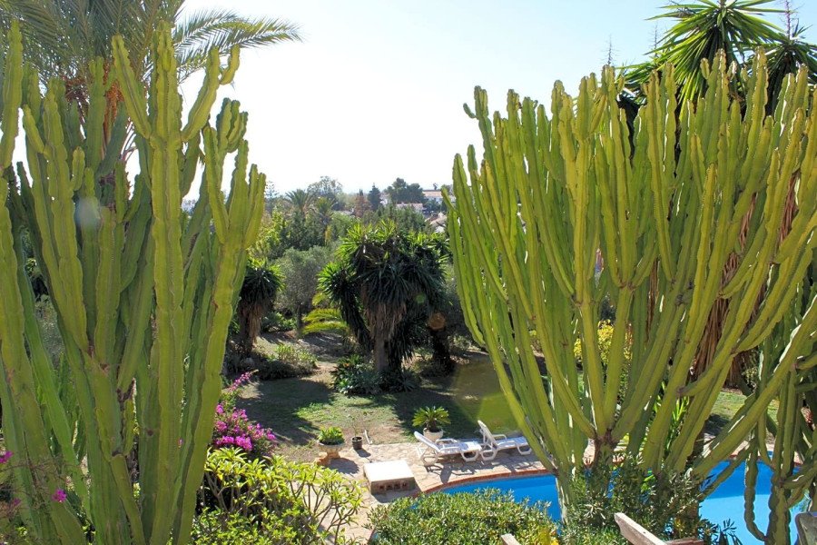 Investment oportunity with 3244m plot