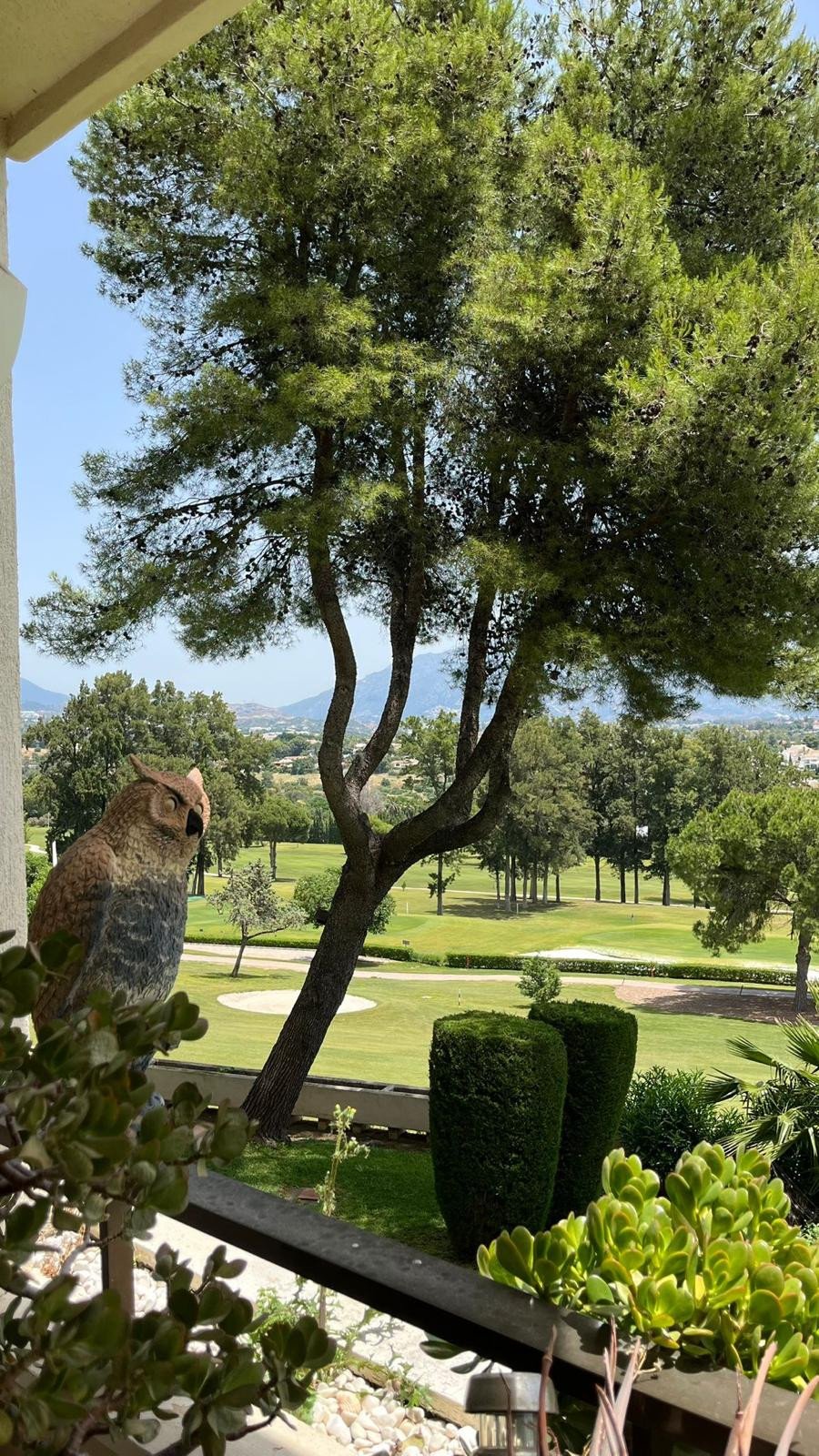 Charming One-Bedroom Apartment in Atalaya Golf, Estepona East