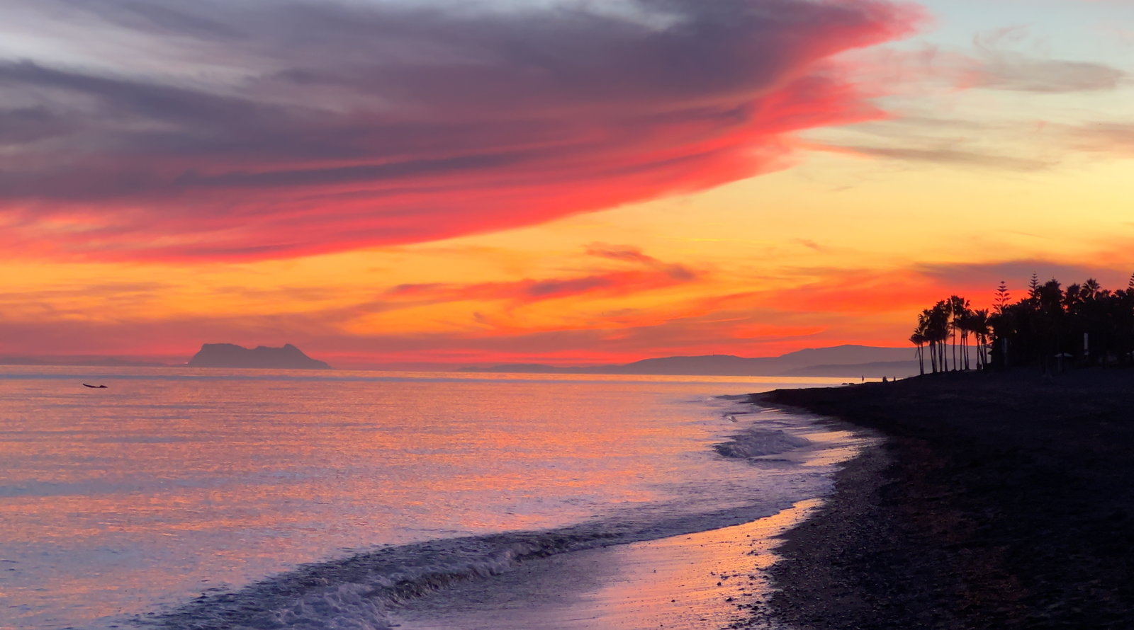 8 razones para invertir en viviendas en Marbella Milla de Oro